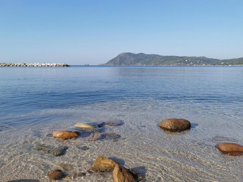 Bas De Villa Jardin Plein Sud Proche Mer Clim-Wifi Saint-Mandrier-sur-Mer Exterior foto